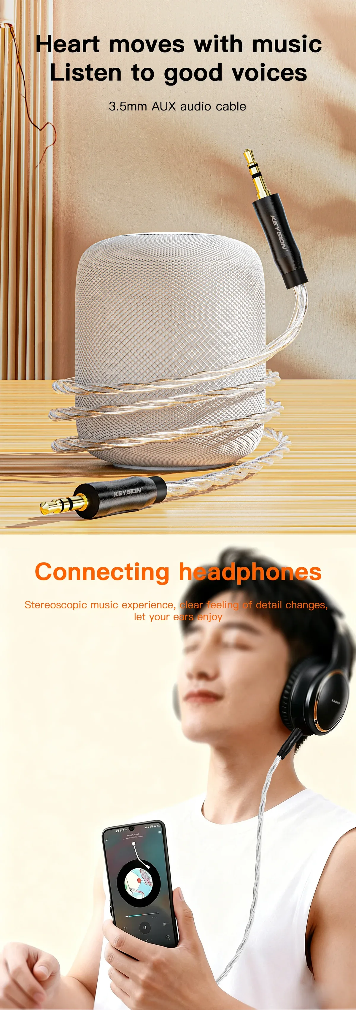 HiFi Silver-Plated OFC AUX Connection Cable 1